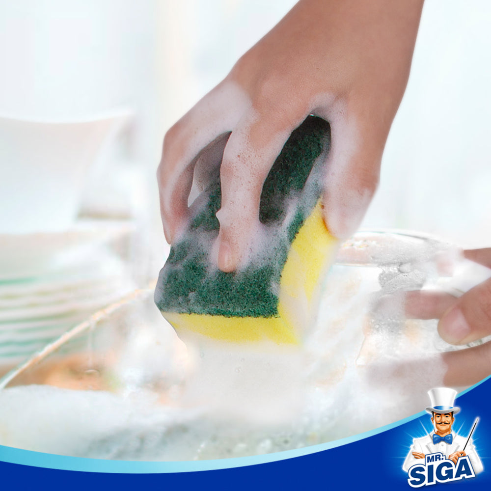 MR.SIGA appeals that there’s only one earth,we should protect our mother earth