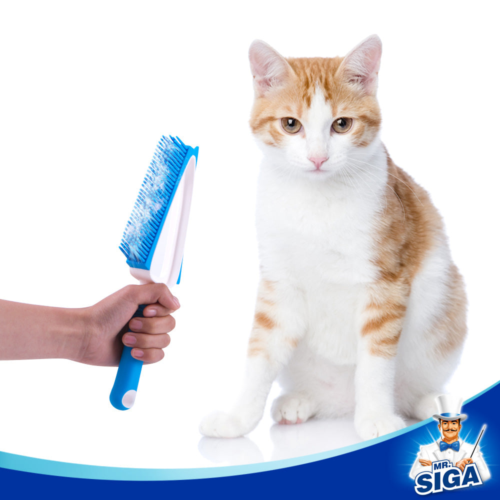 MR.SIGA Soft Bristle Brush/Scrubber with Dustpan, Blue & White,1 Set