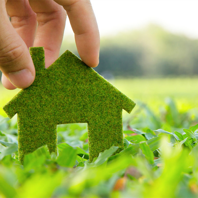 Sustainability in Cleaning: A Greener Way to Shine – MR.SIGA