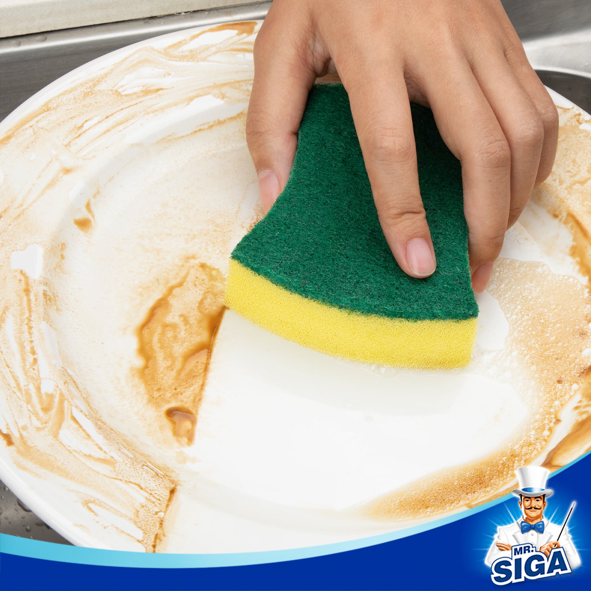 MR.Siga Heavy Duty Scrub Sponge, Dishes, Pots, Pans Cleaning ,12 Pack