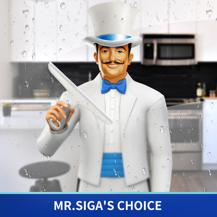 MR.SIGA Multi-Purpose Silicon Squeegee for Window, Glass, Shower Door, Car Windshield, Includes Suction Hook
